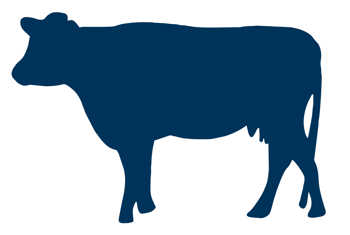 dairy cow icon